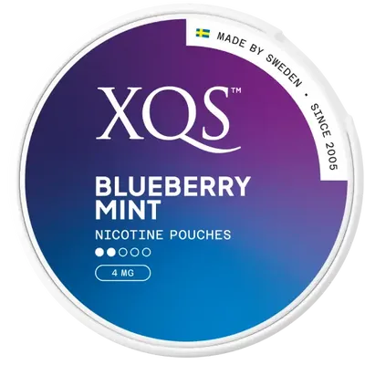XQS Blueberry Mint Light
