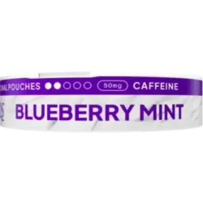 XQS Blueberry Mint Zero