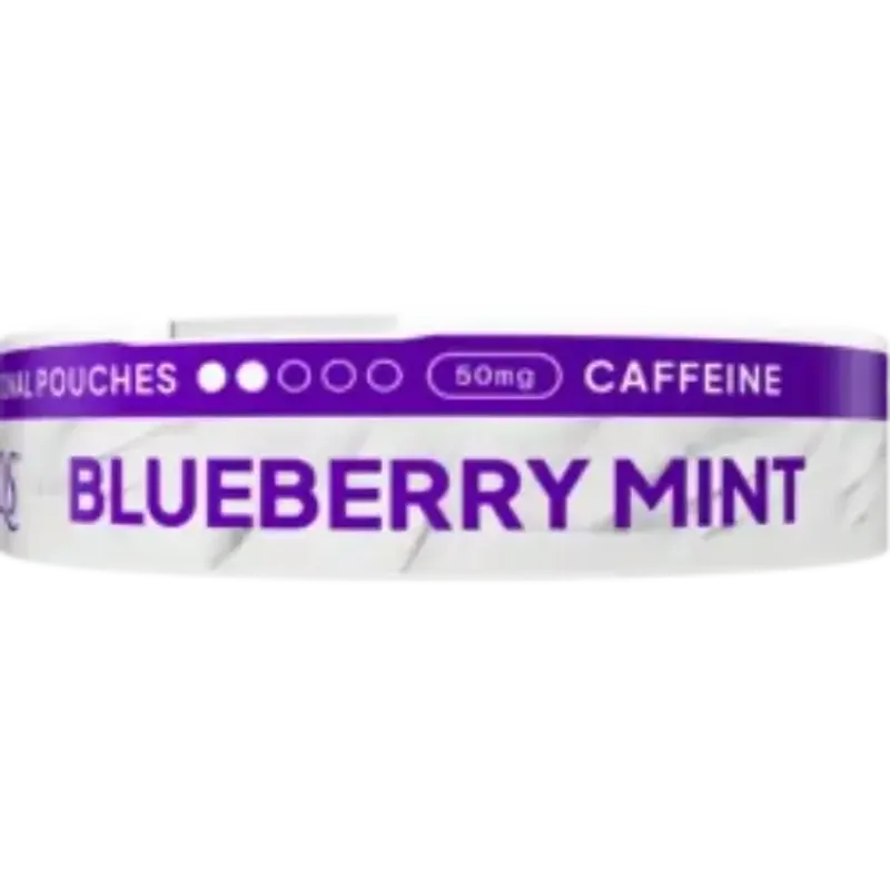 XQS Blueberry Mint Zero