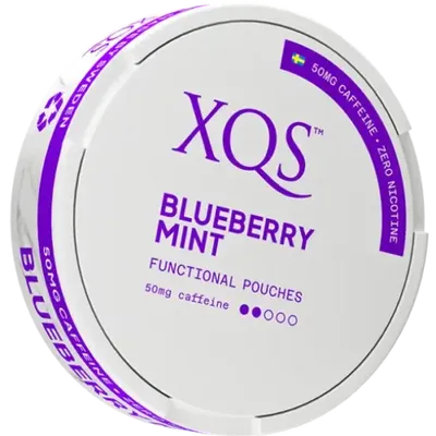 XQS Blueberry Mint Zero