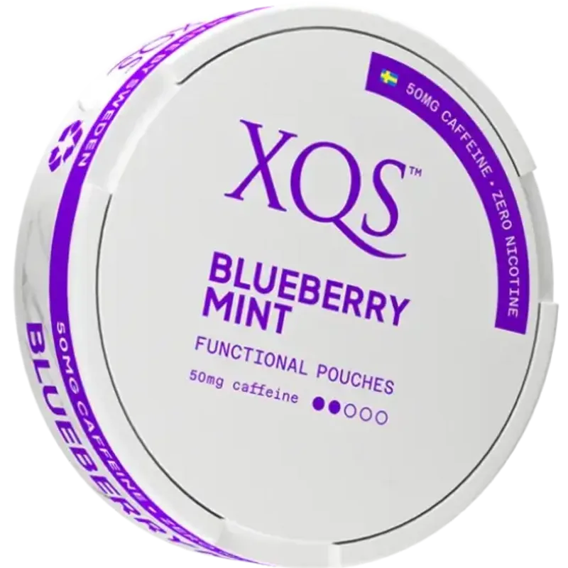XQS Blueberry Mint Zero