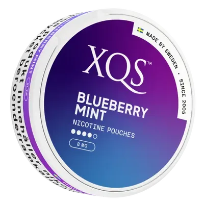 XQS Blueberry Mint Strong