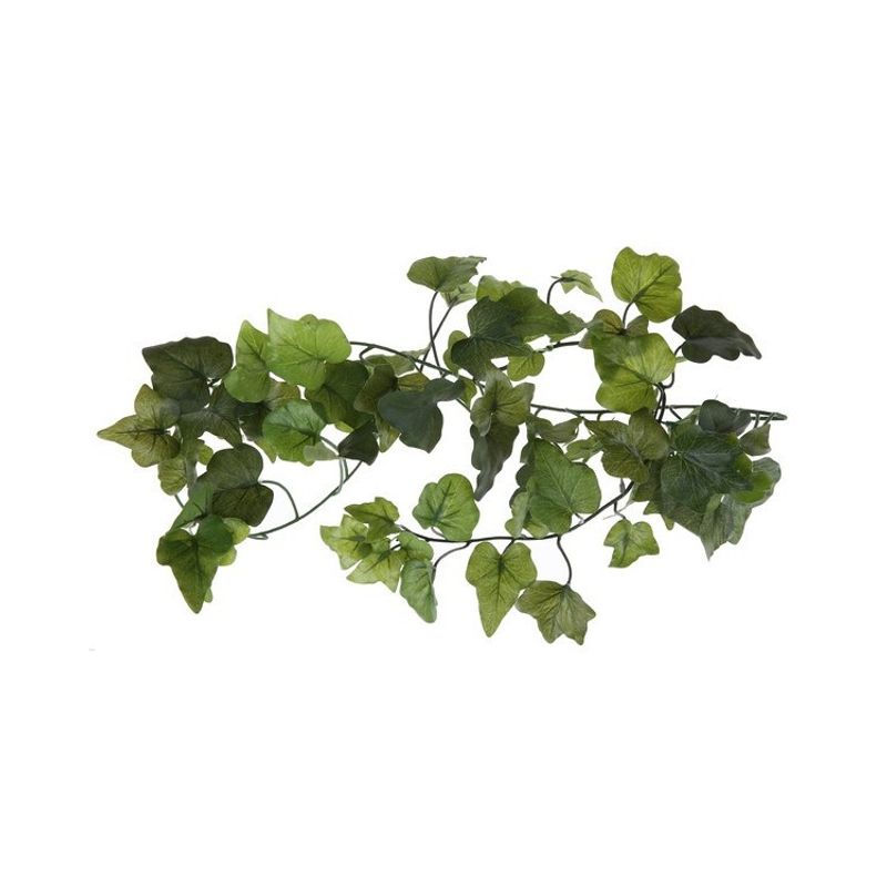 Girlang Murgröna