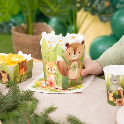 Popcornbox Skogens Vänner, 6-pack