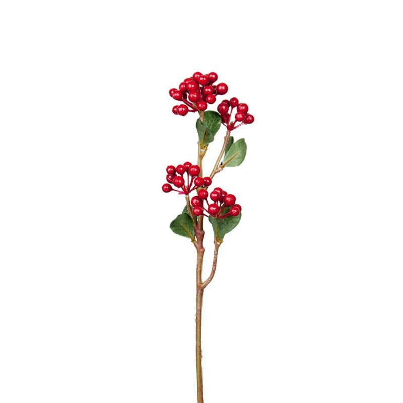 Bärkvist