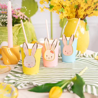 Pappmuggar - Kanin - 6 st