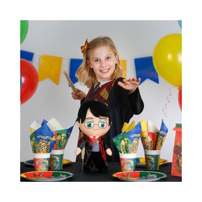 Kalaspaket Harry Potter enkel 8 pers