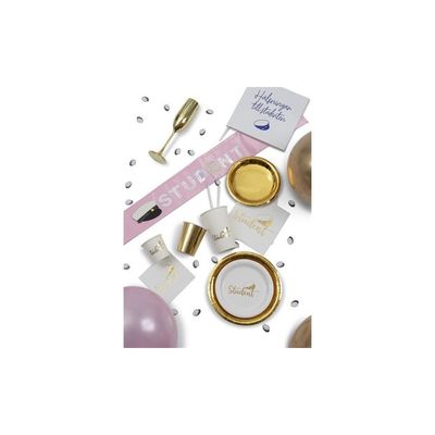 Papperstallrikar Student