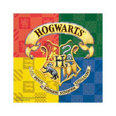 Kalaspaket Harry Potter enkel 8 pers