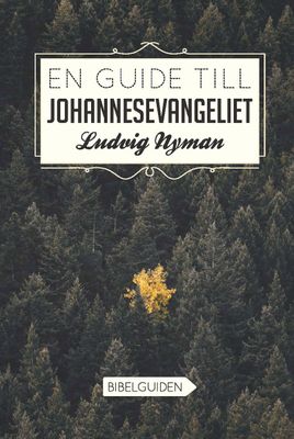 En guide till Johannesevangeliet - Ludvig Nyman