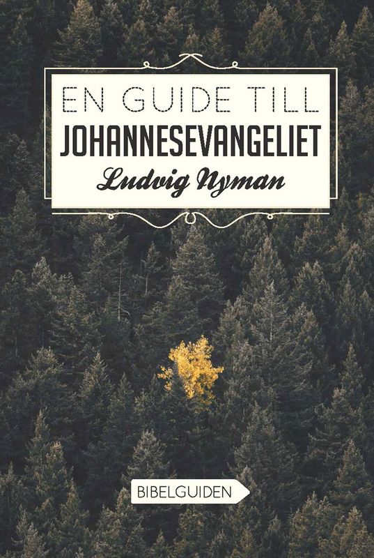 En guide till Johannesevangeliet - Ludvig Nyman