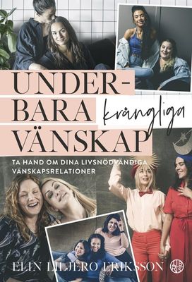 Underbara krångliga vänskap - Elin Liljero Eriksson
