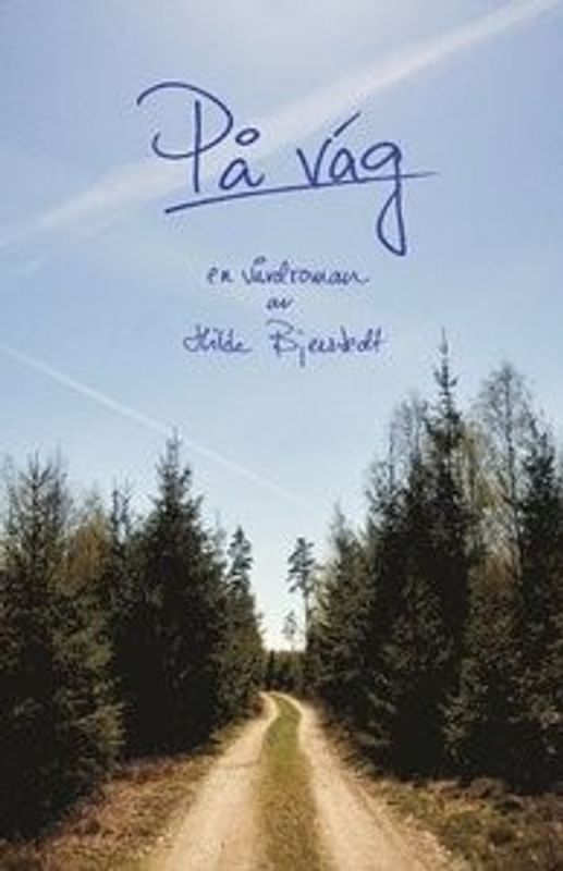 På väg - en vårdroman - Hilda Bjerstedt