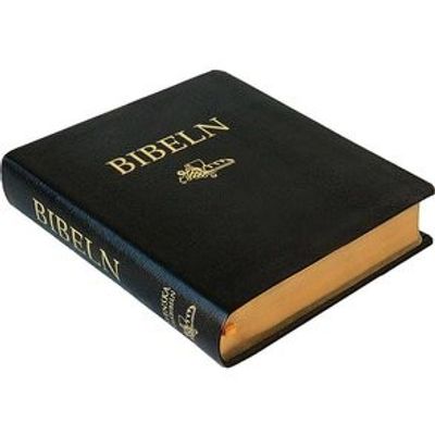 Anteckningsbibel i svart konstskinn