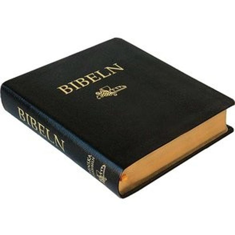 Anteckningsbibel i svart konstskinn