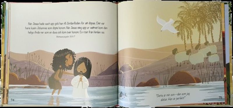 Guds stora plan - Berättelsebibel