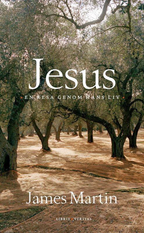 Jesus - en resa genom hans liv - James Martin