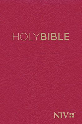 Engelsk Bibel New International Version