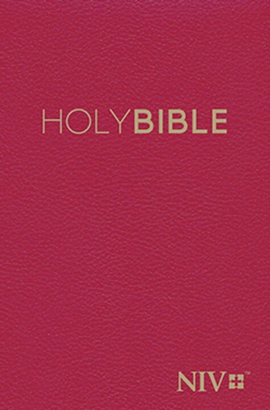 Engelsk Bibel New International Version