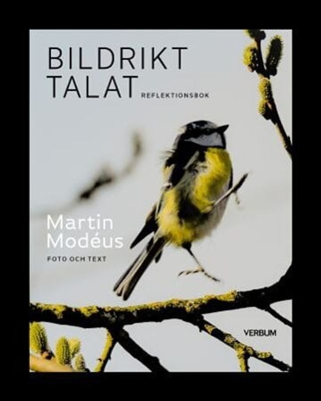 Bildrikt talat - Reflektionsbok - Martin Modéus