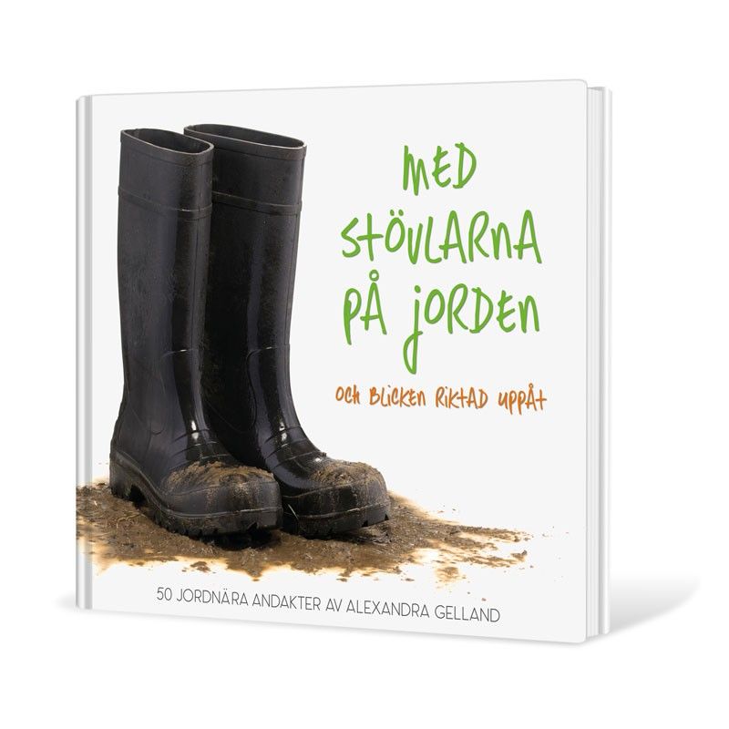 Med stövlarna på jorden och blicken riktad uppåt - Alexandra Gelland