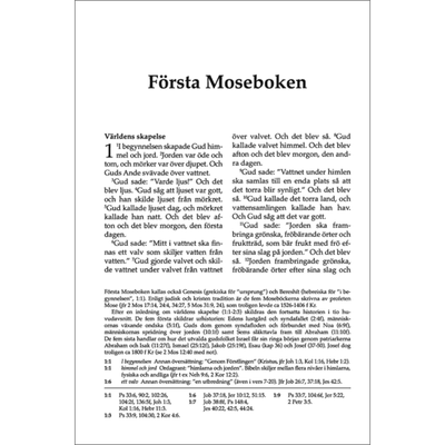 Svenska Folkbibeln 2015 - Mellanformat - Svart äkta skinn