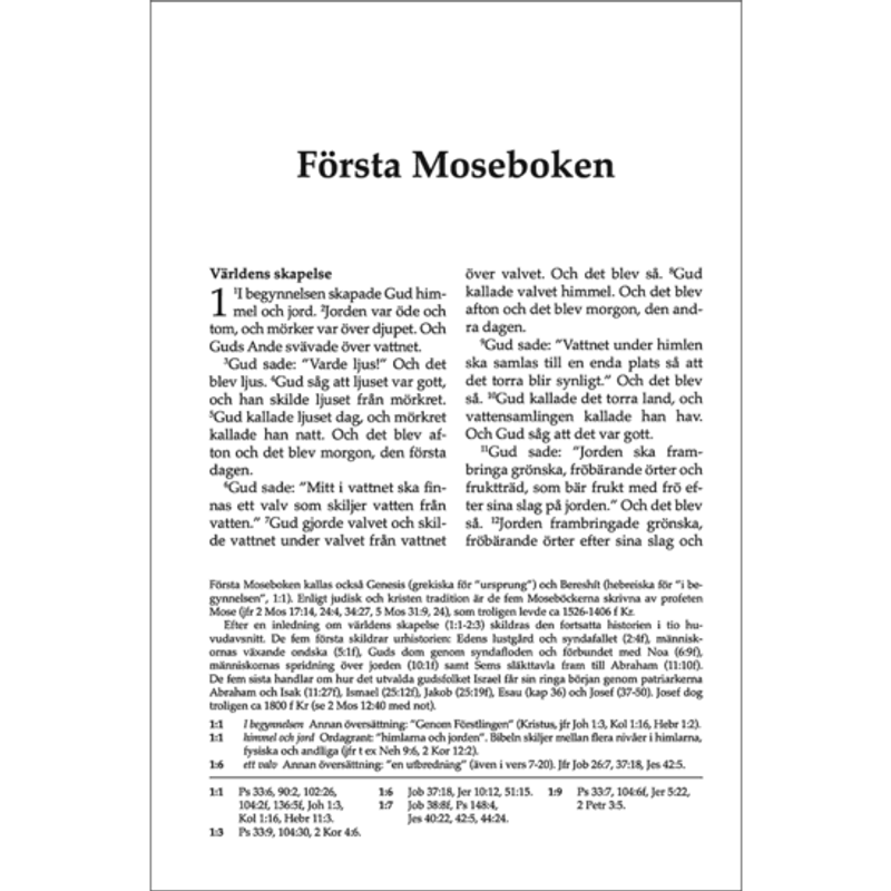 Svenska Folkbibeln 2015 - Mellanformat - Svart äkta skinn