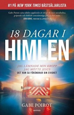 18 dagar i himlen - Gabe Poirot