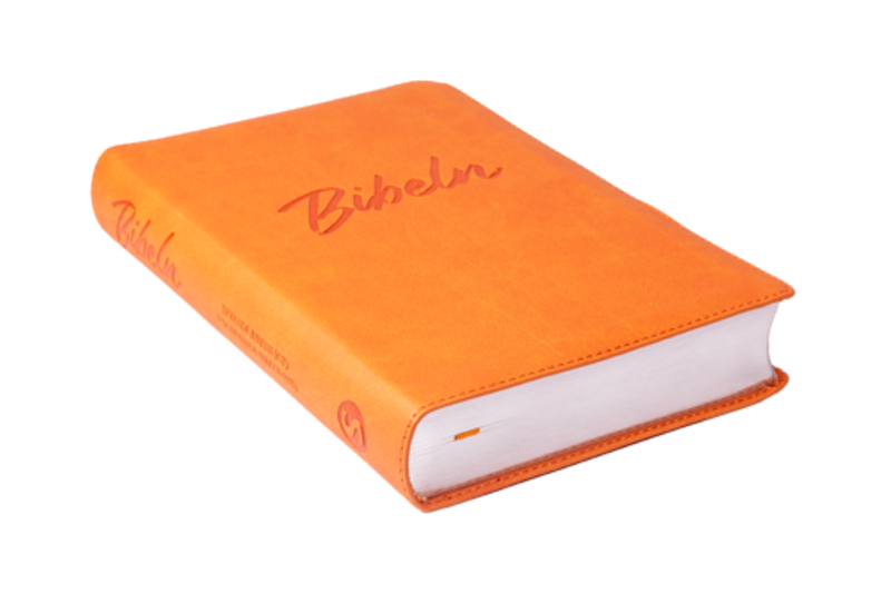 Nya Levande Bibeln - Orange