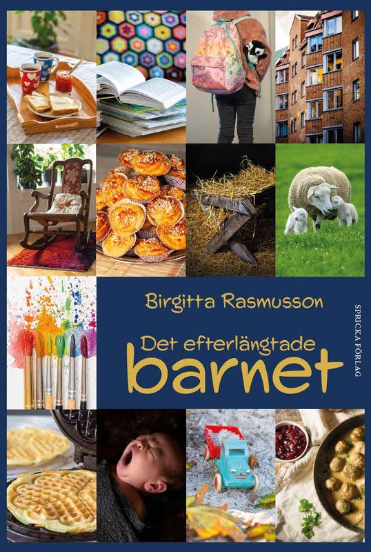 Det efterlängtade barnet - Birgitta Rasmusson