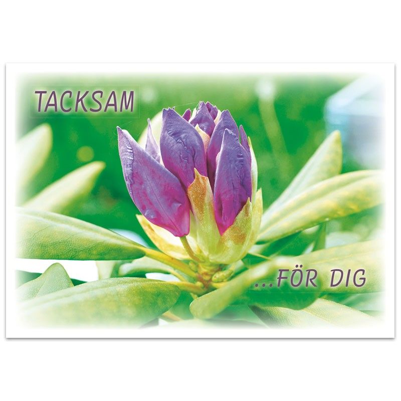 Vykort - Tacksam för dig