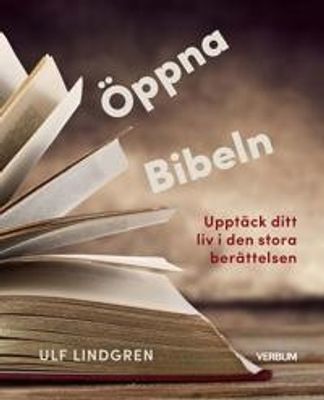Öppna Bibeln: Upptäck ditt liv i den Stora berättelsen - Ulf Lindgren