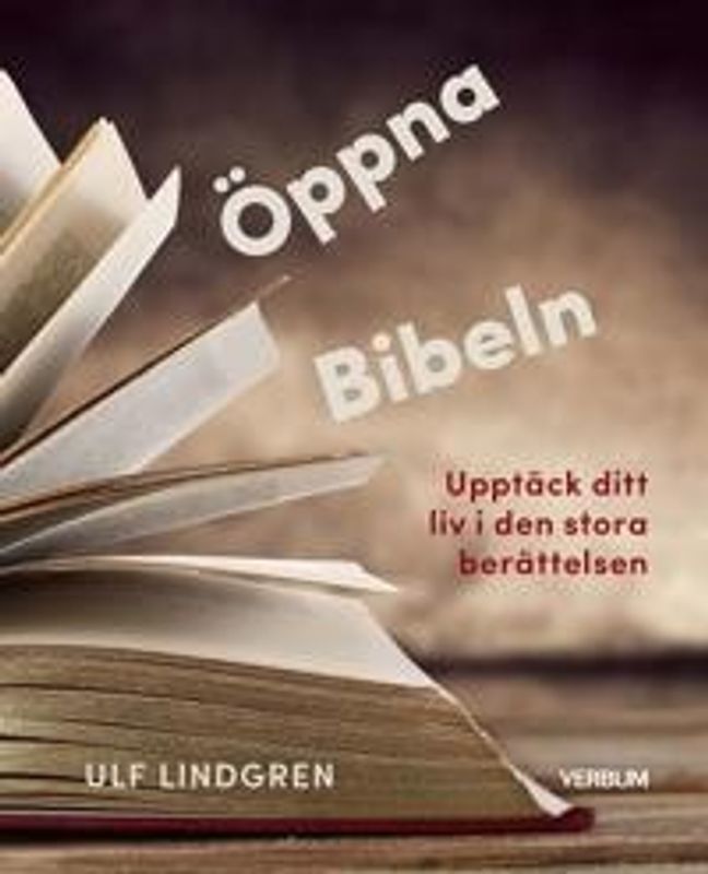 Öppna Bibeln: Upptäck ditt liv i den Stora berättelsen - Ulf Lindgren