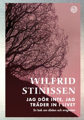 Jag dör inte, jag träder in i livet - Wilfrid Stinissen