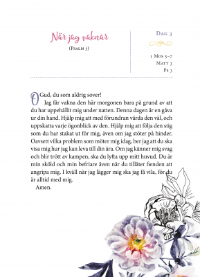 Be genom Bibeln på ett år - Darlene Franklin