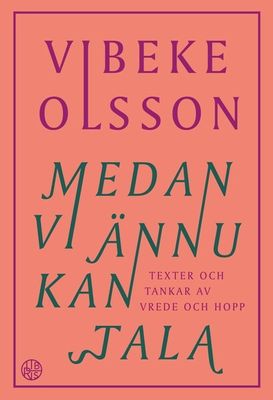 Medan vi ännu kan tala - Vibeke Olsson