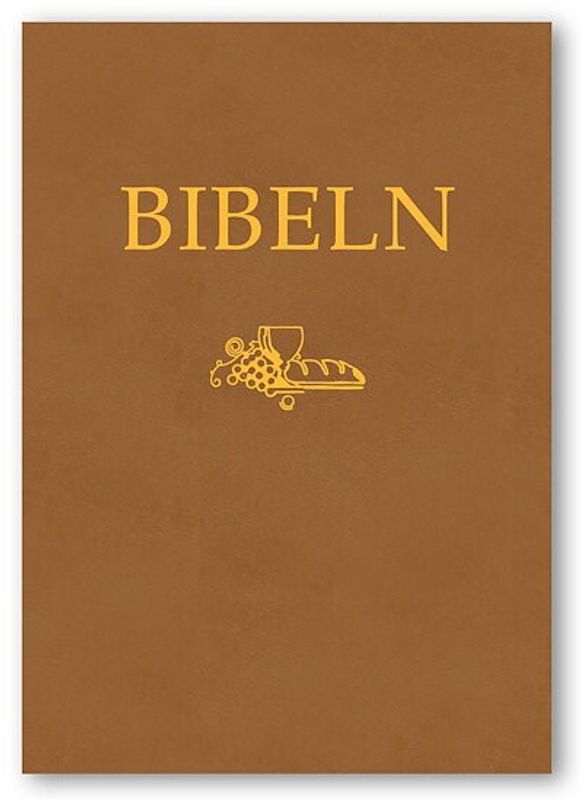 Kompaktbibel brun skinnimitation