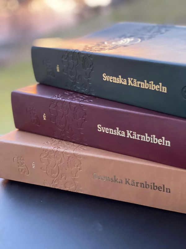 Svenska Kärnbibeln NT + Konstskinn Brunröd