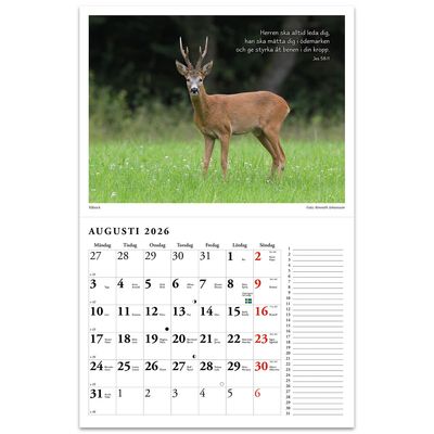 Naturkalender 2026 - Reine Jonsson