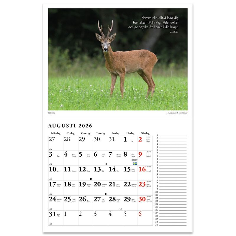 Naturkalender 2026 - Reine Jonsson