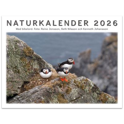 Naturkalender 2026 - Reine Jonsson