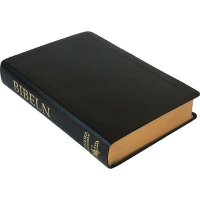 Svenska Folkbibeln 2015 - Storformat - Skinn - Svart