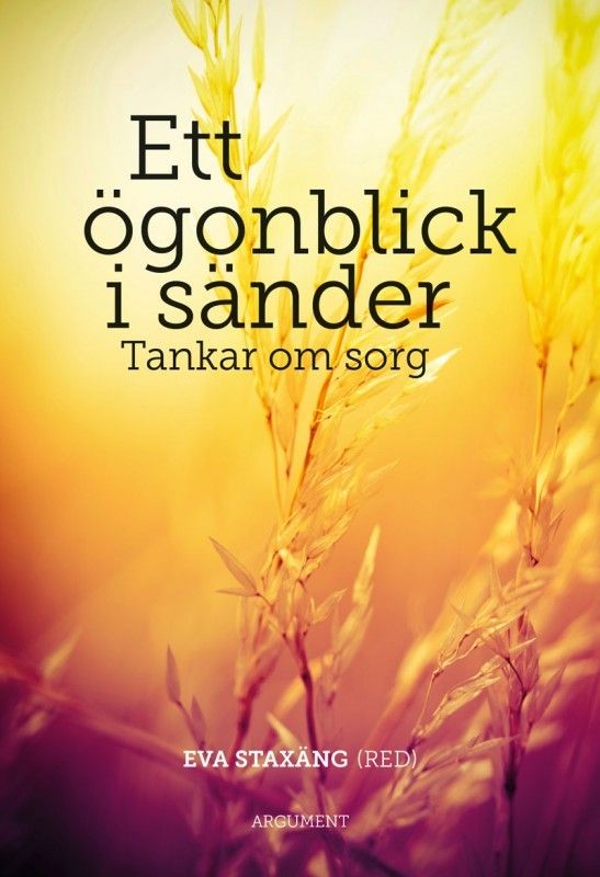 Ett ögonblick i sänder - Tankar om sorg - Eva Staxäng