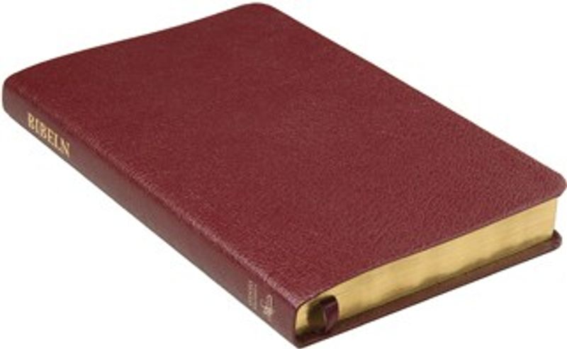 Svenska Folkbibeln 2015 - Slimline - Konstskinn - Röd