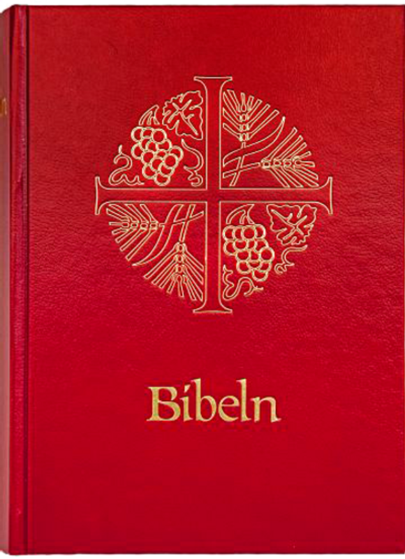 Bibel 2000 med apokryferna - röd, hårdband