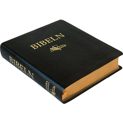 Anteckningsbibel i svart cabraskinn