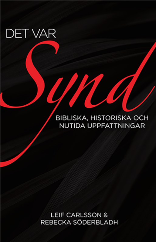 Det var synd: bibliska, historiska och nutida uppfattningar
