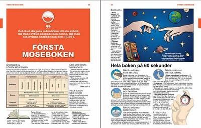 Steg för steg Studiebibeln - blå