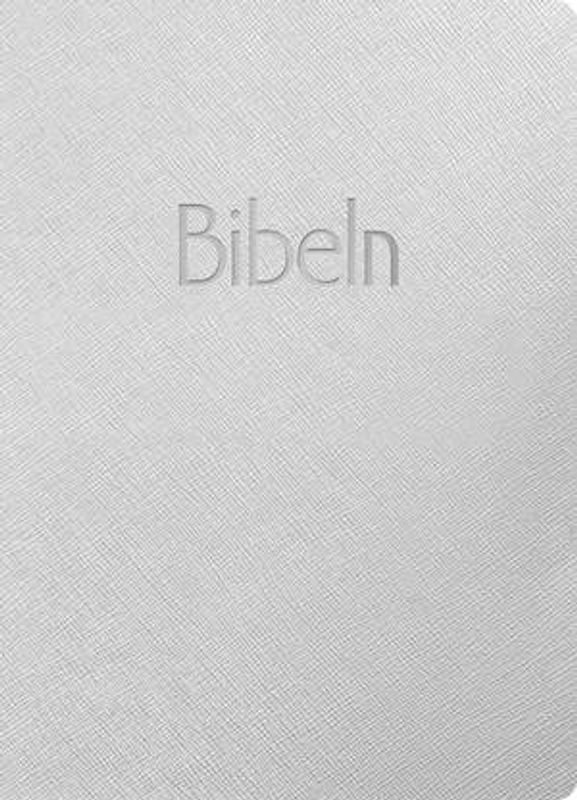 Bibeln 2026 silver