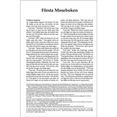 Svenska Folkbibeln 2015 - Slimline - Pocket